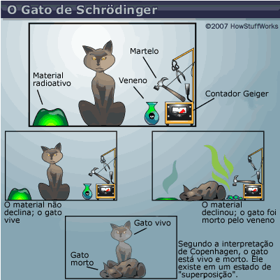 O que é o Gato de Schrödinger?